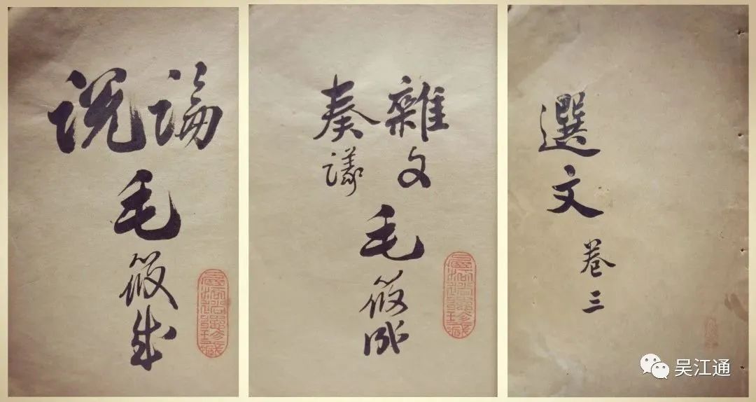 毛啸岑编写的文集(作者提供)_副本.jpg